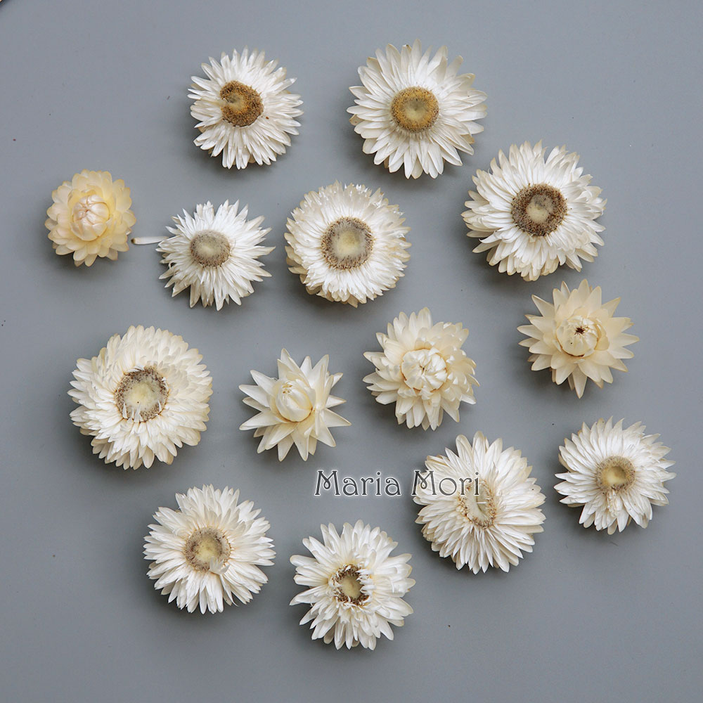 Candle Making Activity - 天然のドライでカラフルな菊の花輪,手作りのヘアアクセサリー,樹脂製品,アロマテラピーキャンドル
