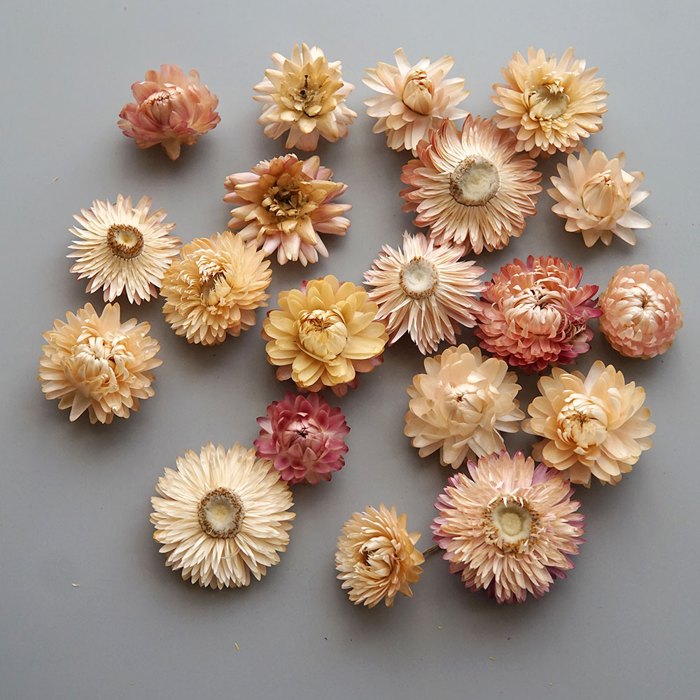 天然のドライでカラフルな菊の花輪,手作りのヘアアクセサリー, - Candle Making Activity のレビューと価格