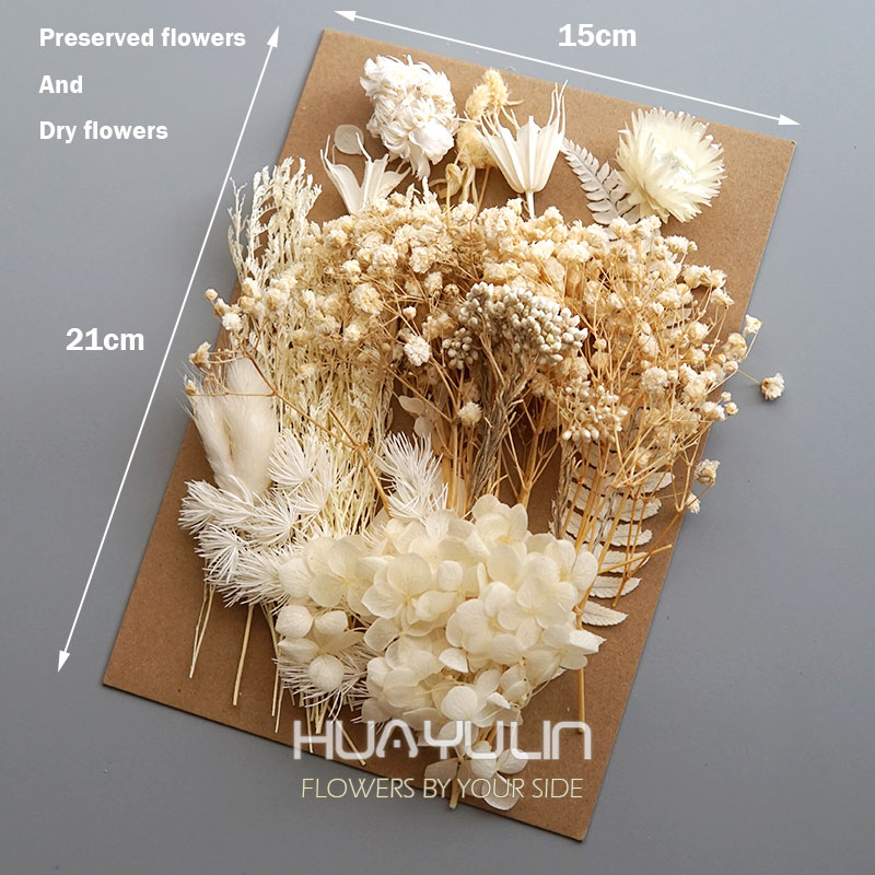1 パック人工植物ドライ本物の花プリザーブド材料エポキシ樹脂 - Candle Making Activity のレビューと価格